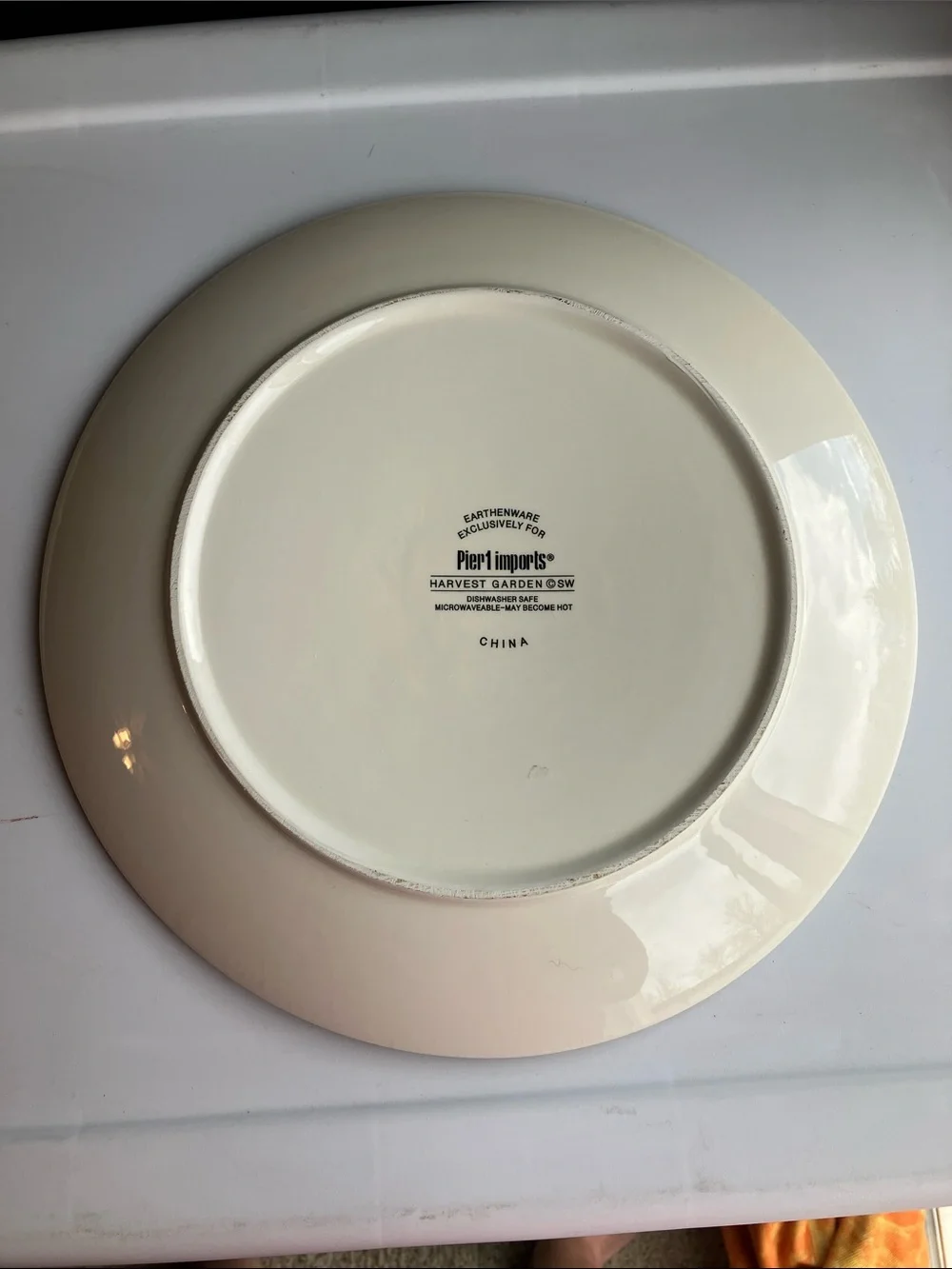 Pier 1 Harvest Garden 2 Dinner Plates 11